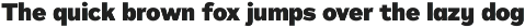 Typonium preview