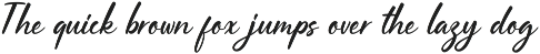 Bourrache script fonts preview