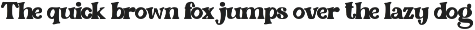 Reina Sayuri - Display Serif Font preview