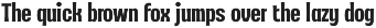 Rigidrop - Retro Ornamental Fonts preview