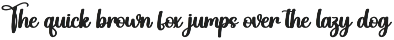 Austin Vintage | Script Font preview
