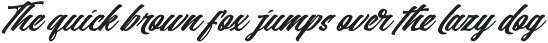 Heats Black - Script Font preview