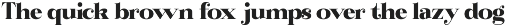 Bintro preview