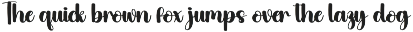 Digital | Script Font preview