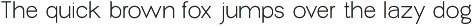 New Trusty preview