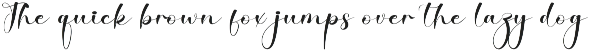 Creative | Script Font preview