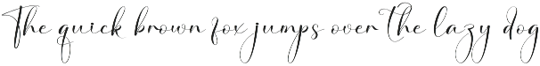 Monogram Present | Script Font preview