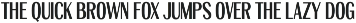 ED Venta Nueva - Font Duo preview