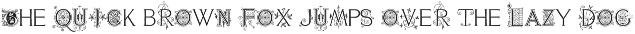 Ornate Botanical Drop Cap Font No15 font preview