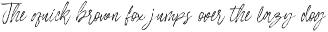 Hockaige - Elegant Handwritten Brush preview