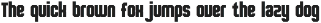 Champiun – Bold and Powerful Sports preview