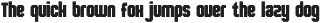 Champiun – Bold and Powerful Sports preview