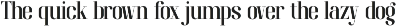 Brayena Elegant Serif Font preview