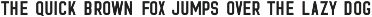 The Northland Font Duo preview