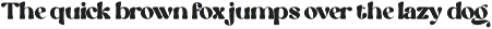 Praline - Modern Retro Font preview