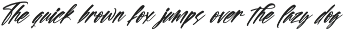Spotnight Balmonte Modern Brush Font preview