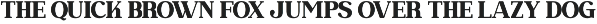 Dramish - Serif Retro Font preview