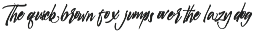 Rio de Janeiro Script Brush Font preview