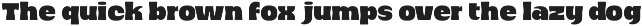 Protanica - Retro Display Font preview