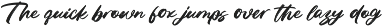 Fasten Dhecta Modern Brush Font preview