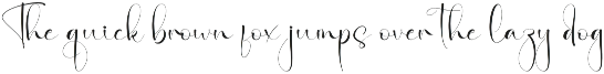 Amsterdam | Script Font preview
