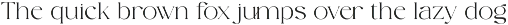 Camenia - Modern And Beauty Serif preview