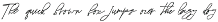 Insporta Signature preview