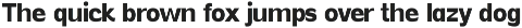 Vynce Sans Picturesque Family preview