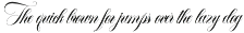 Southwestern Calligraphy preview