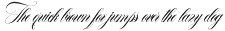 Southwestern Calligraphy preview