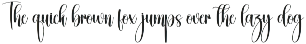 Simplicity | Script Font preview