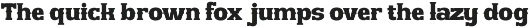 Western Hornet - Display Font preview