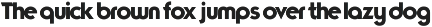Typographica preview