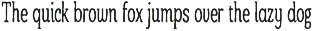 Wild & Noise - Rustic Vintage Serif preview