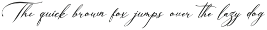 Willsyard | Modern Calligraphy preview