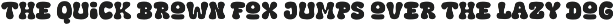 Fox Squish: 4 Font Styles font preview