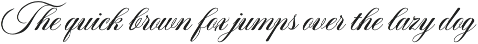 Romantica Caligraphy Modern Font preview