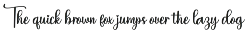 Butter Pumpkin Font Duo preview