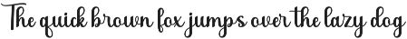 Hayda Script preview