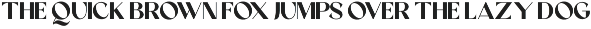Stela Serif Grafity Font Duo preview