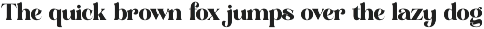 Master Gedon Modern Bold Serif preview