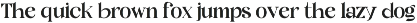 Quicle New Display Serif Font preview