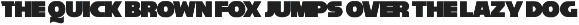 Reisenberg 2.0 preview