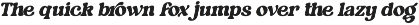Tropical Magic - Retro Serif Font preview
