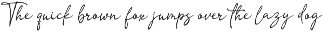 Bearish - Handwritten Script Font preview