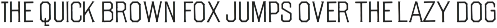 Vintage Tall Sans and Spur Serif preview