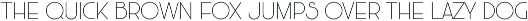CROSSHORN preview
