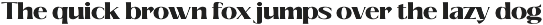 Savium - High Contrast Serif Font preview
