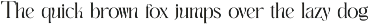 New Mick Serif Font preview