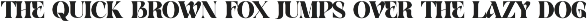Venom Elegant Serif Font preview